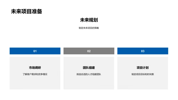 项目年度总结报告