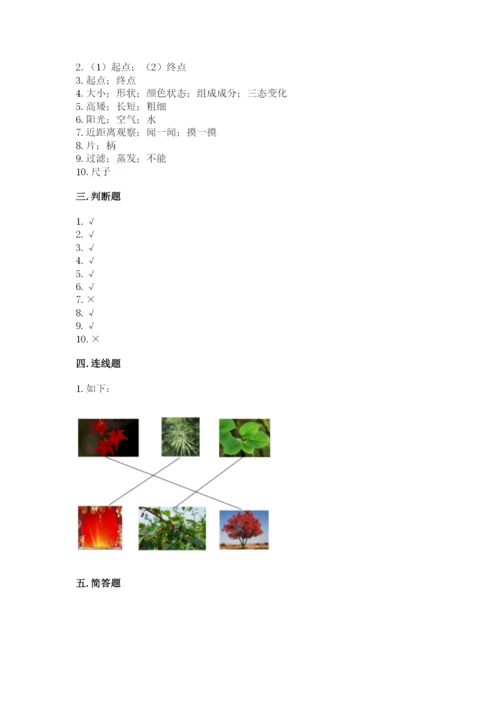 教科版一年级上册科学期末测试卷附答案【巩固】.docx