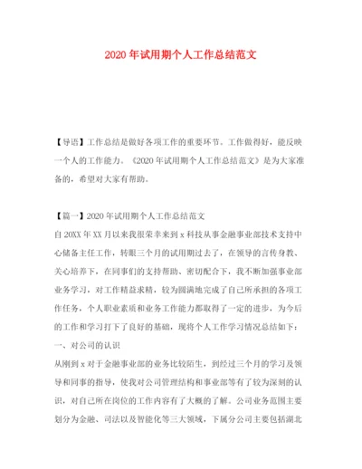 精编之年试用期个人工作总结范文.docx