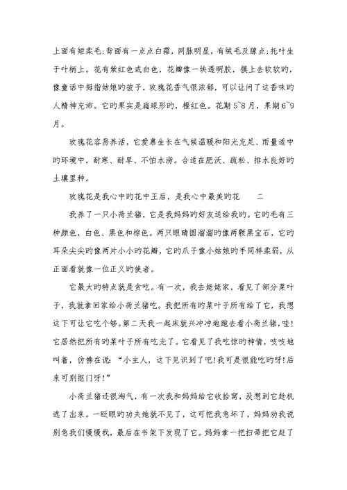 2022年四年级作文600字例文