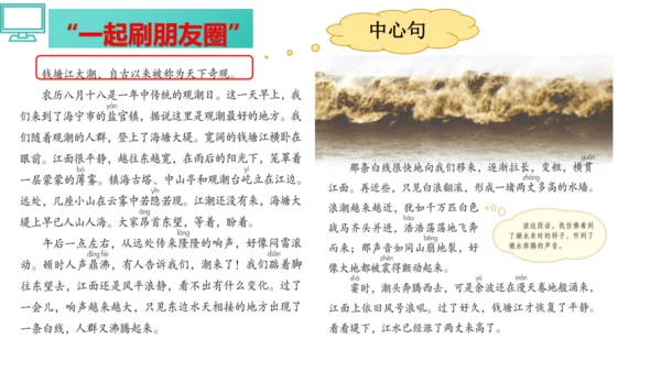1 观潮 第一二课时    课件
