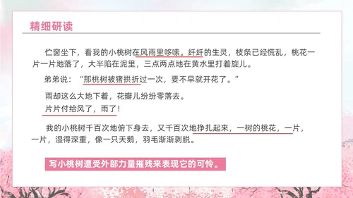粉色水彩水墨一颗小桃树课件PPT七年级语文下册PPT七年级下册语文课件