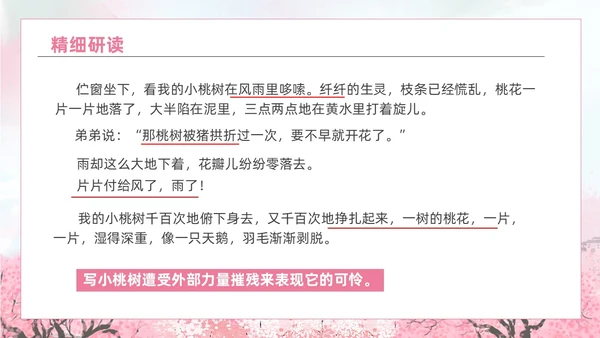 粉色水彩水墨一颗小桃树课件PPT七年级语文下册PPT七年级下册语文课件