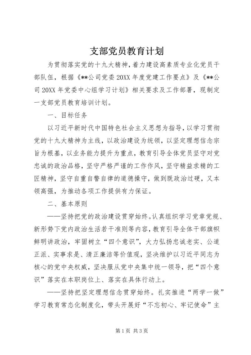 支部党员教育计划.docx