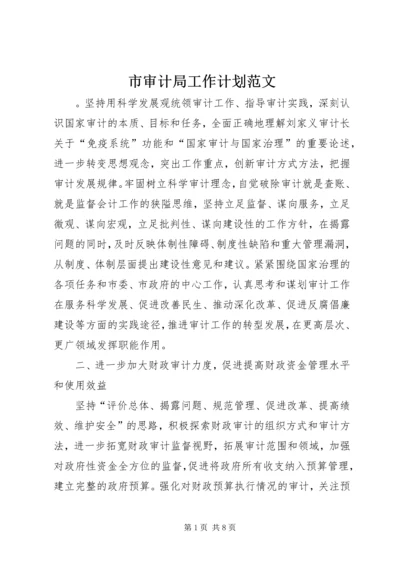 市审计局工作计划范文 (2).docx