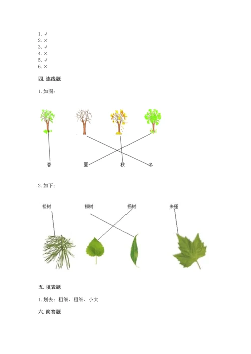 教科版科学一年级上册第一单元《植物》测试卷（培优）.docx