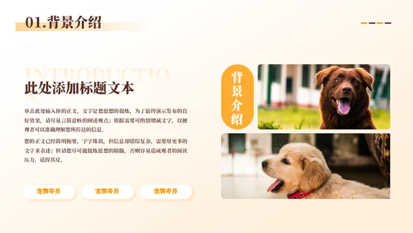 宠物代养宠物寄存商业计划书模板