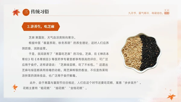 白色淡雅实拍风中国传统节气寒露节气介绍PPT