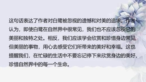 《1 白鹭》课件