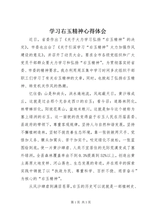 学习右玉精神心得体会.docx