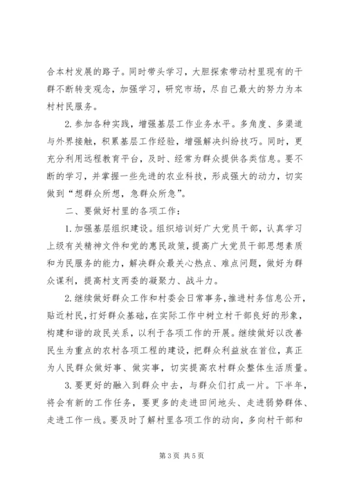 村主任助理上半年工作总结及下半年工作计划 (3).docx