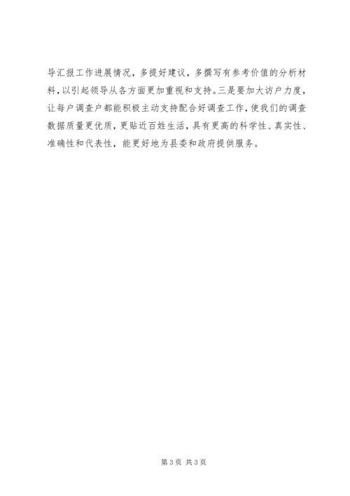 县统计局城乡住户调查年工作报告.docx
