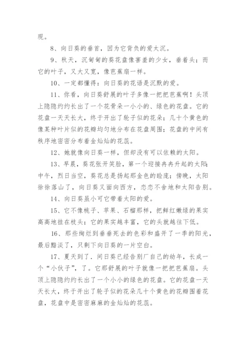 向日葵唯美语录.docx