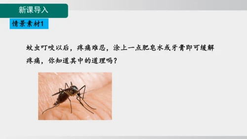 课题2  第3课时 中和反应 课件(共20张PPT内嵌视频)2024-2025学年人教版九年级化学下