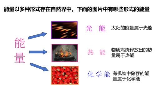 2.1.4细胞的生活课件2023--2024学年人教版生物七年级上册(共34张PPT)