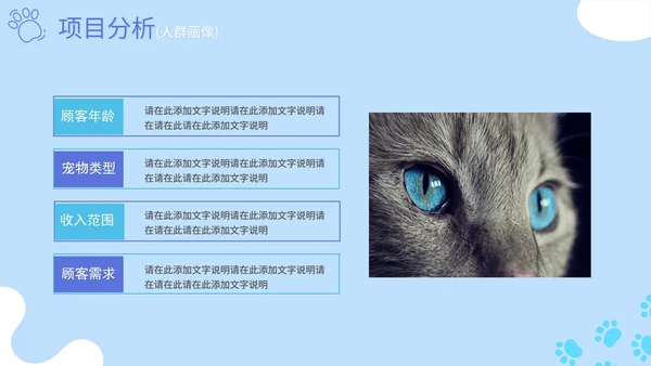蓝色卡通简约萌宠宠物店项目计划书PPT模板