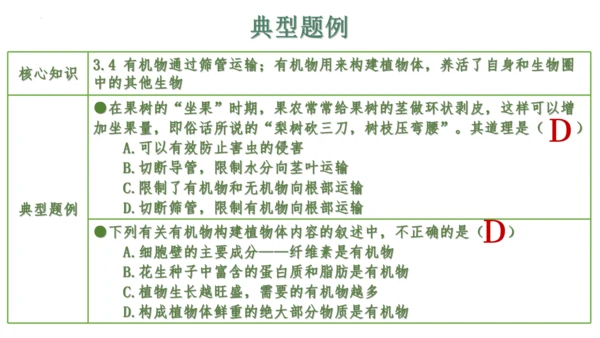 第三单元 植物的生活（单元复习课件）2023-2024学年七年级生物上册同步精品课件（人教版）(共3