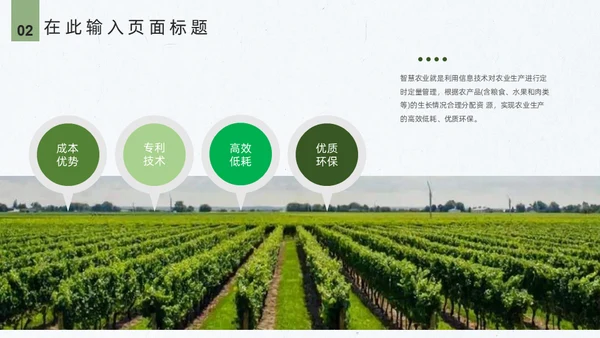 智慧农业禾苗水稻通用PPT模板
