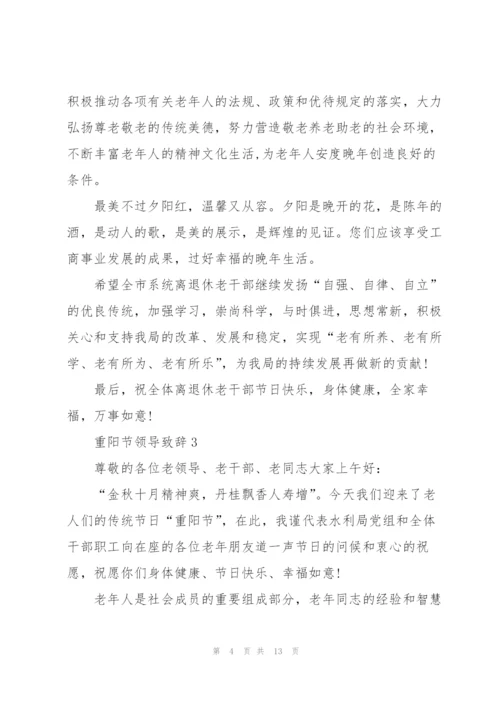 重阳节领导致辞发言.docx