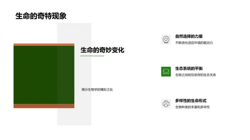 生物多样性保护PPT模板