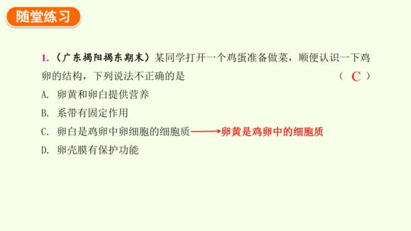 7.1.4鸟的生殖和发育-八年级生物人教版下学期同步精品课件(共24张PPT)