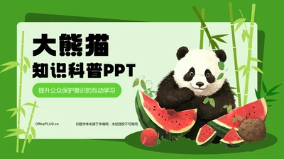 绿色插画风大熊猫知识科普PPT模板