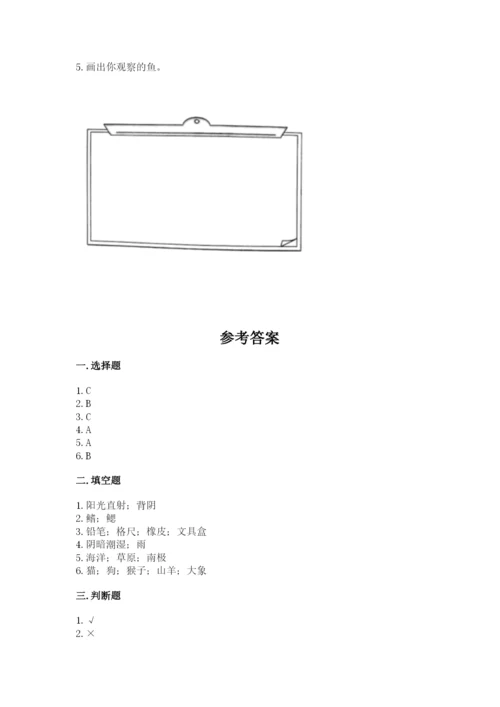 教科版一年级下册科学期末测试卷及1套完整答案.docx