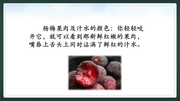 统编版语文三年级上册 第五单元  习作例文 我爱故乡的杨梅 课件