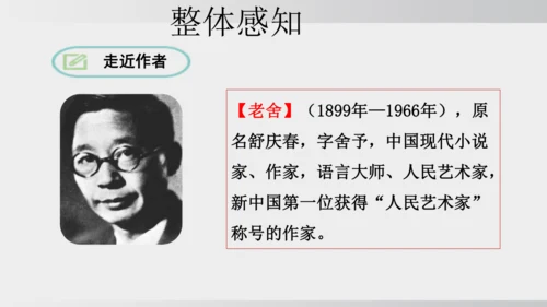 七年级下册语文第三单元整本书阅读 《骆驼祥子》课件