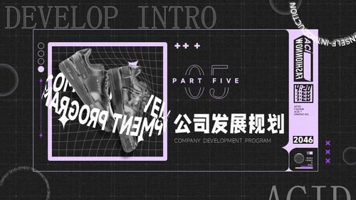 酸性风时尚潮牌鞋品牌介绍通用PPT模板