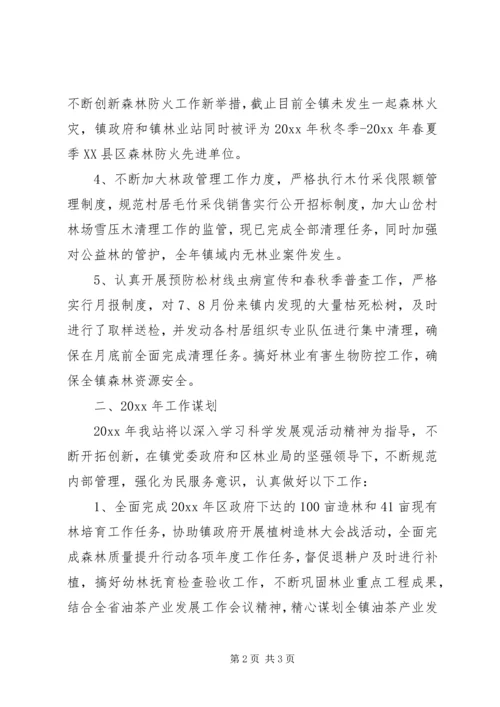 乡镇林业站工作总结及工作计划范文.docx