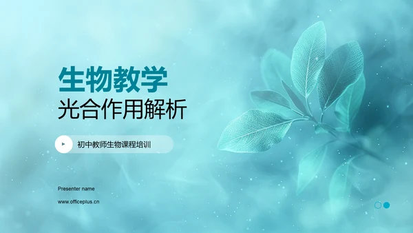 生物教学光合作用解析