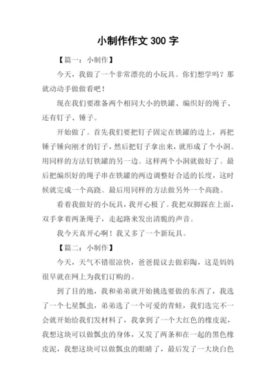 小制作作文300字.docx