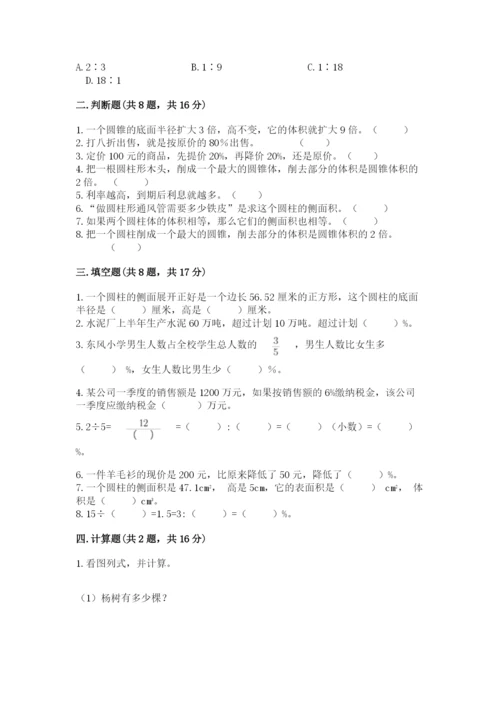 苏教版六年级下册数学期中测试卷【研优卷】.docx