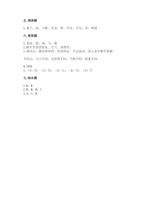 教科版一年级下册科学期末测试卷（完整版）.docx