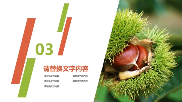 美食坚果板栗宣传动态PPT模板