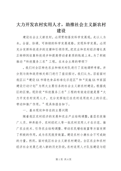 大力开发农村实用人才，助推社会主义新农村建设 (3).docx