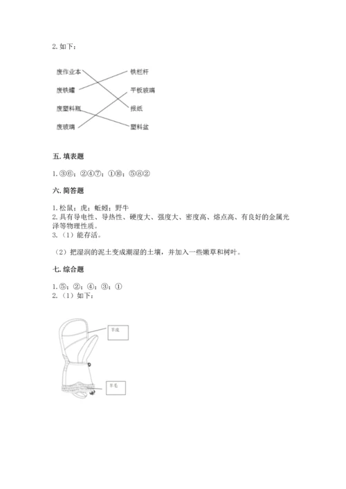 教科版二年级上册科学期末测试卷（b卷）.docx