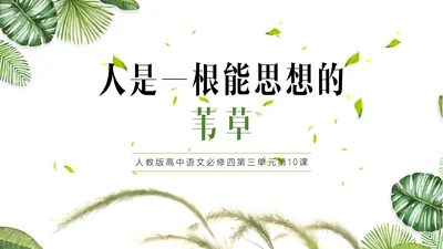 高中语文人是一根能思想的苇草PPT课件