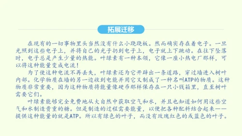 第8课 时间的脚印 统编版语文八年级下册 同步精品课件