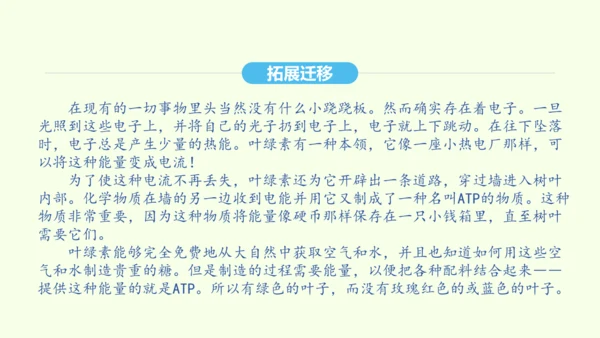 第8课 时间的脚印 统编版语文八年级下册 同步精品课件