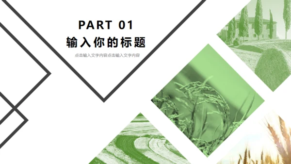 乡村来旅游绿色田野上通用PPT模板