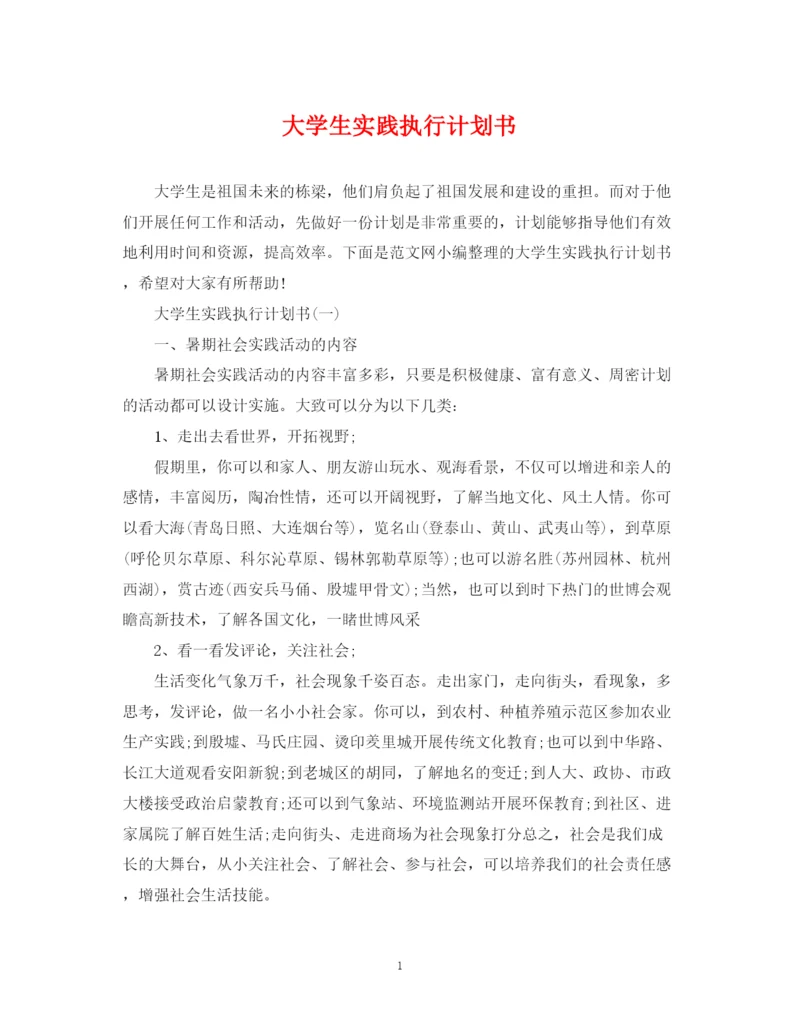 精编之大学生实践执行计划书.docx