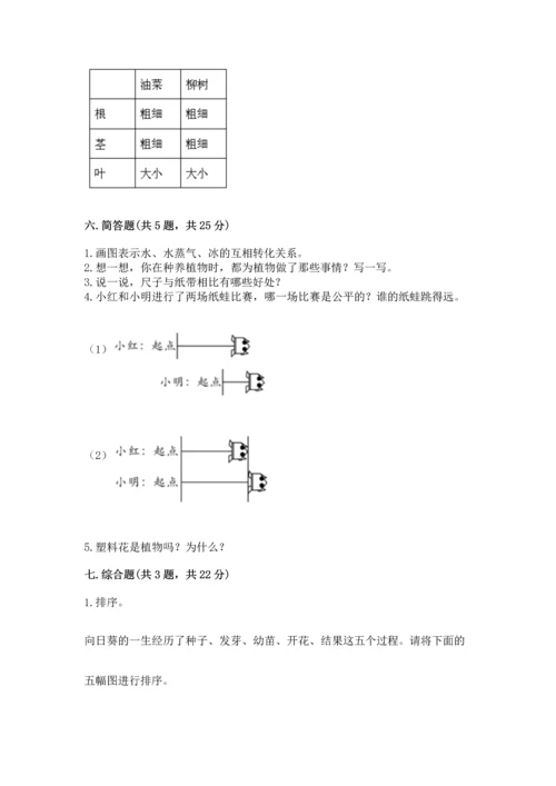 教科版一年级上册科学期末测试卷附完整答案【夺冠系列】.docx