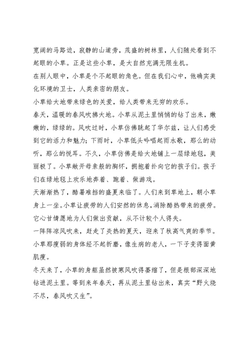 我是小草作文500字6篇