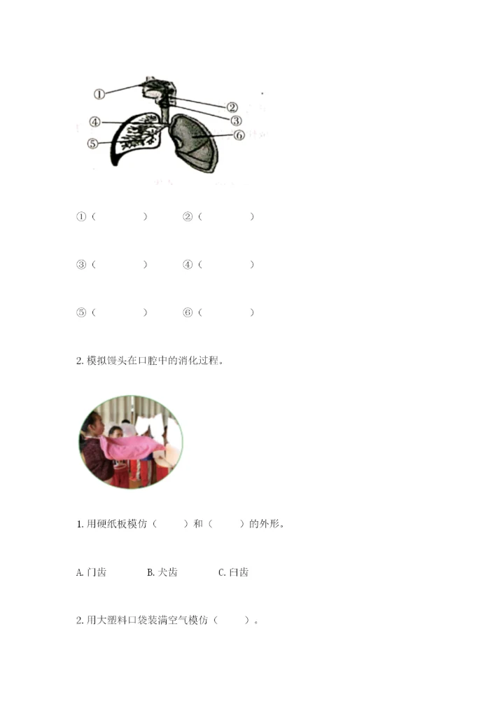 教科版科学四年级上册第二单元《呼吸和消化》测试卷（含答案）.docx