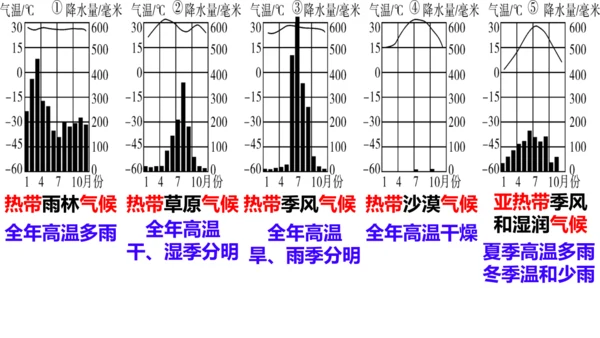 期末总复习：读图填图突破（课件59张）-2024-2025学年第一学期人教版七年级地理