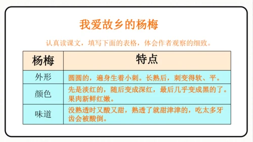 小学统编版三年级语文上册 语文园地五 课件