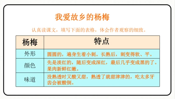 小学统编版三年级语文上册 语文园地五 课件