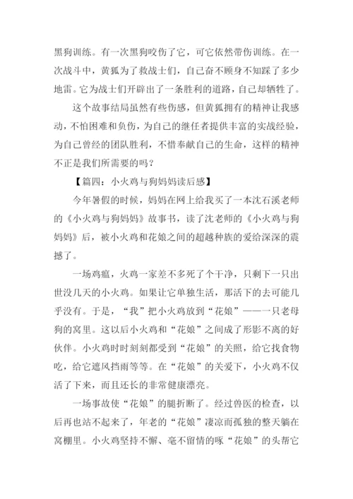 小火鸡与狗妈妈读后感500字.docx